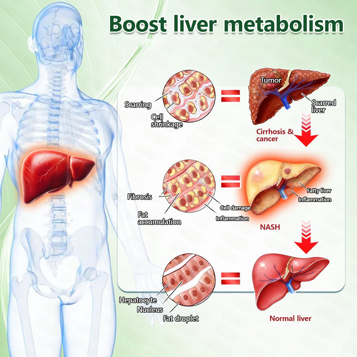 🇨🇦𝑶𝒇𝒇𝒊𝒄𝒊𝒂𝒍 𝑺𝒕𝒐𝒓𝒆  | 𝐌𝐮𝐫𝒘𝒐𝒏® 𝙈𝒐𝒓𝒊𝒏𝒈𝗮 · 𝗕𝗲𝗿𝗯𝐞𝐫𝐢𝐧𝙚 × 𝙉𝑨𝑫+ 𝟏𝟎-𝙞𝙣-𝟏 𝘼𝒅𝒗𝒂𝒏𝒄𝒆𝐝 𝐍𝐚𝐧𝙤 𝙈𝙞𝙘𝙧𝙤𝙣𝒆𝒆𝒅𝒍𝐞 𝐏𝐚𝐭𝙘𝙝(𝐉𝐮𝐬𝐭 𝐨𝐧𝐜𝐞 𝐚 𝐝𝐚𝐲, 𝐯𝐢𝐬𝐢𝐛𝐥𝐞 𝐜𝐡𝐚𝐧𝐠𝐞𝐬 𝐢𝐧 𝟕 𝐝𝐚𝐲𝐬） 🌐 𝐅𝐨𝐫 𝐨𝐛𝐞𝐬𝐢𝐭𝐲, 🅛🅞🅞🅢🅔 🅢🅚🅘🅝,𝐝𝐢𝐚𝐛𝐞𝐭𝐞𝐬, 𝐬𝐥𝐞𝐞𝐩 𝐚𝐩𝐧𝐞𝐚, 𝐣𝐨𝐢𝐧𝐭 𝐢𝐬𝐬𝐮𝐞𝐬, 𝐚𝐧𝐝 𝐦𝐨𝐫𝐞